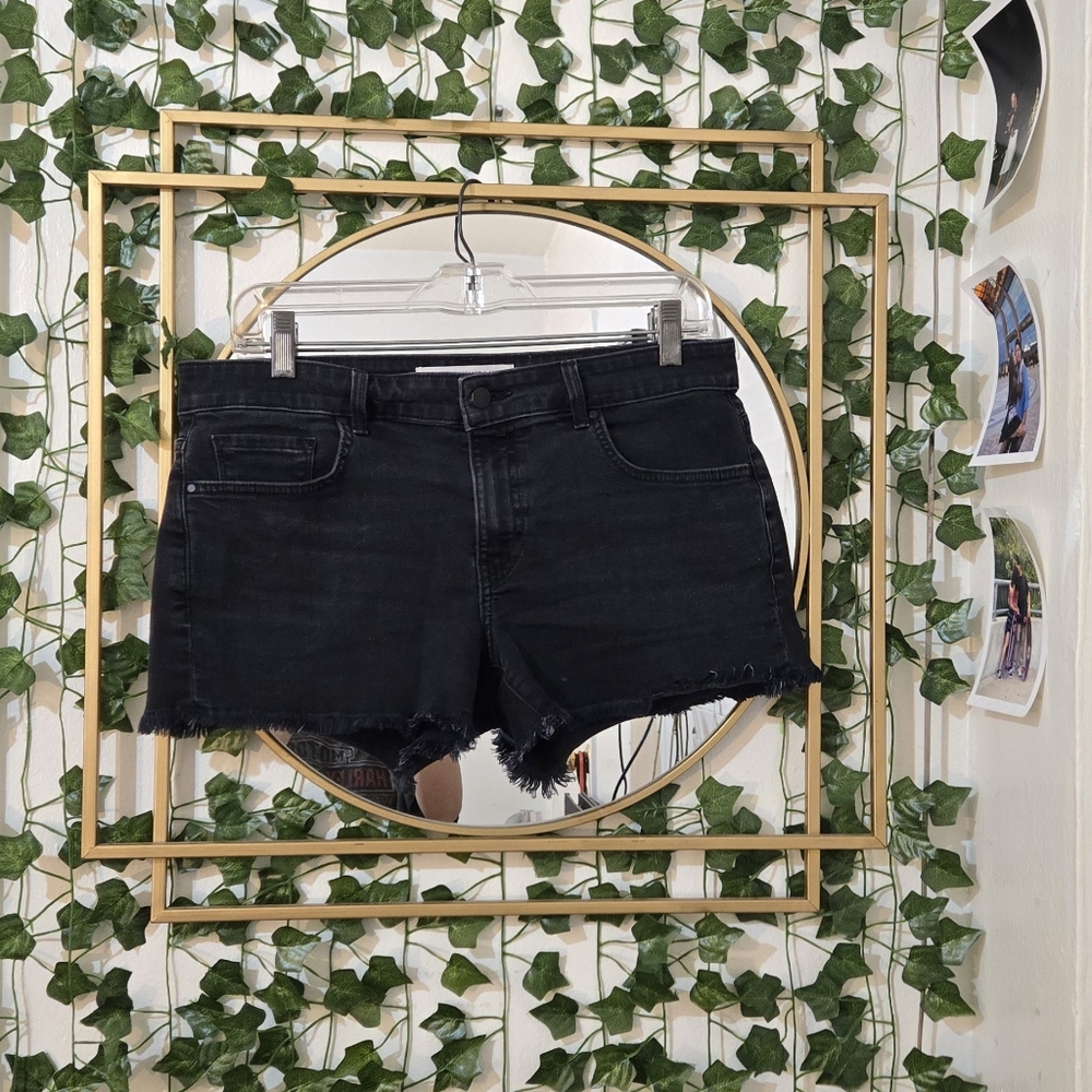 Anthropologie Shorts